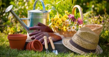 10 Conseils Pour Un Jardinage Écologique