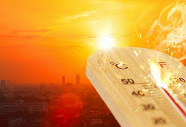 Alerte canicule : quelles solutions pour se protéger de la chaleur ?