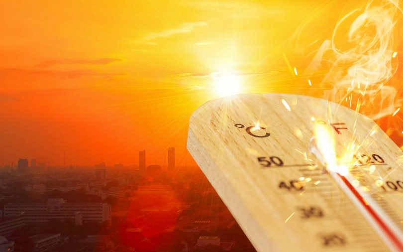 Alerte canicule : quelles solutions pour se protéger de la chaleur ?